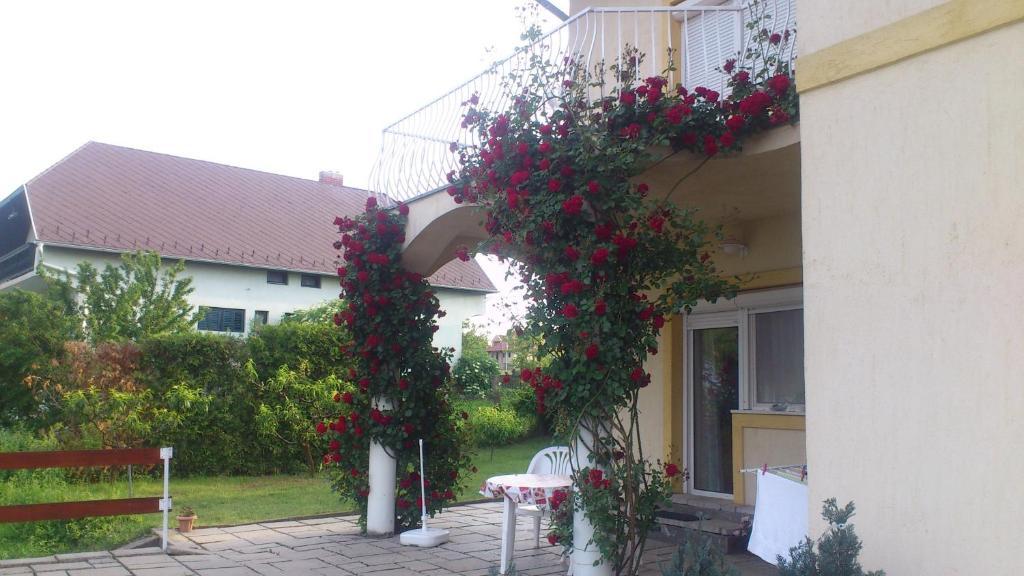 Flora Villa Hévíz Стая снимка